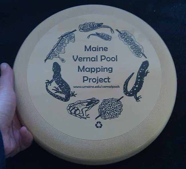 Vernal Pool Frisbee