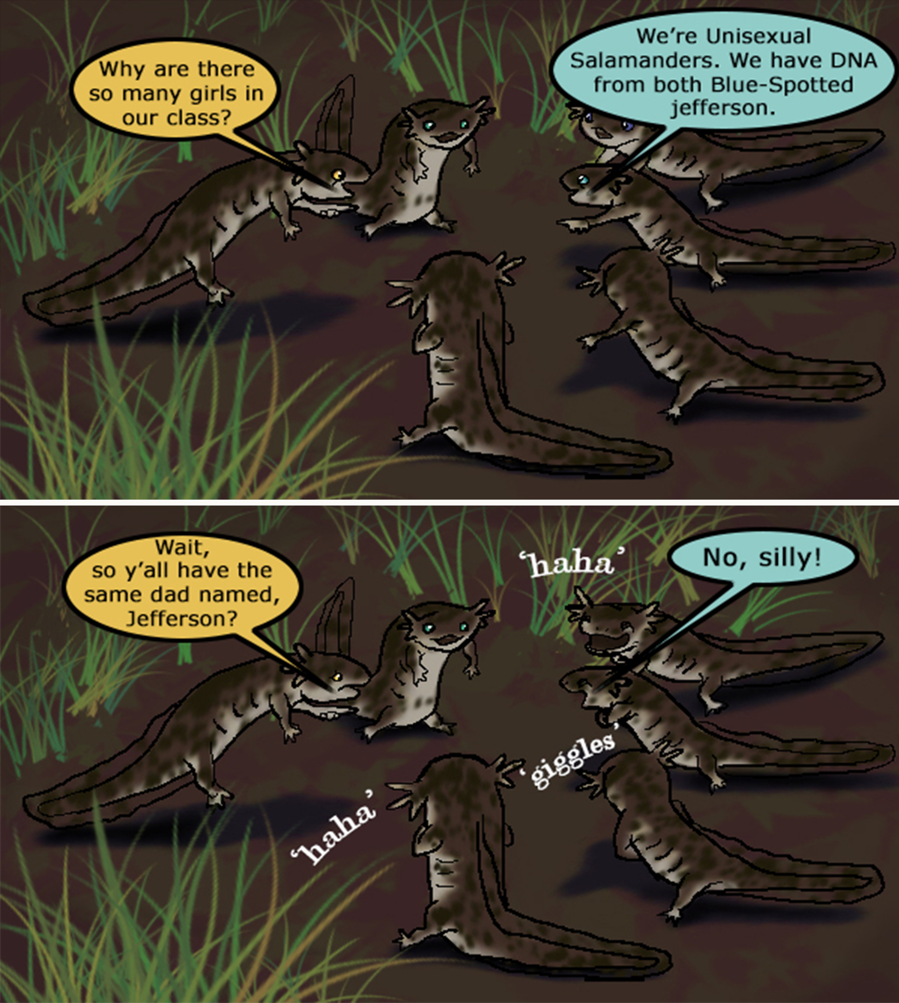 Comic-Week14-UnisexualSalamanders